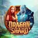 Dragon Shard